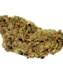 9 Pound Hammer Weed - Indica cannabis strain
