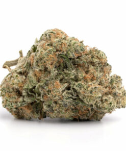 Acapulco Gold Marijuana Strain Canberra