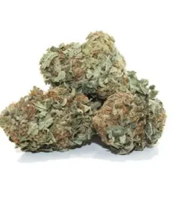 ACDC Marijuana Strain - unique hybrid with 13% CBD