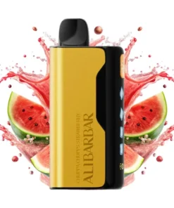 ALIBARBAR ICE ADJUST 12000 Puffs Vape – termelon