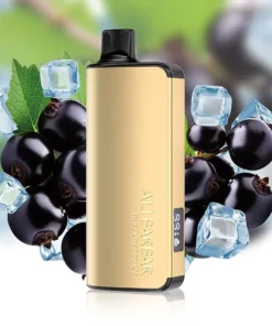 ALIBARBAR INGOT 9000 Puffs – Blackberry Ice disposable vape