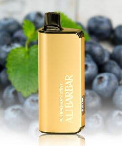 ALIBARBAR INGOT 9000 Puffs – Blueberry Mint Disposable Vape