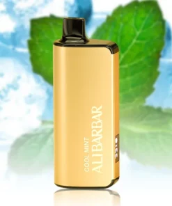 ALIBARBAR Ingot 9000 Puffs – Cool Mint Disposable Vape