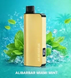 ALIBARBAR Ingot 9000 Puffs – Miami Mint Disposable Vape