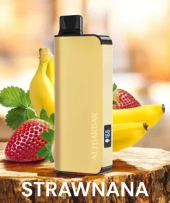 ALIBARBAR Ingot 9000 Puffs – Strawnana Disposable Vape