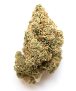 Alien lker Marijuana Strain Ballarat