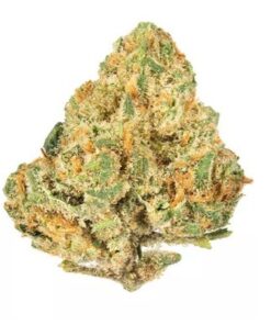 Alien OG Hybrid Marijuana Strain For