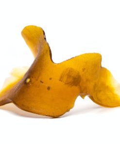 Alien OG Shatter – Hybrid concentrate with amber glass-like appearance