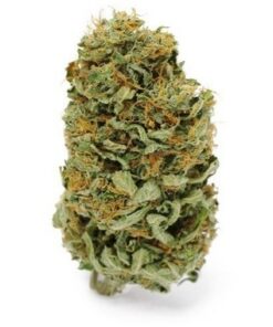 Amnesia Haze Marijuana Flower Strain