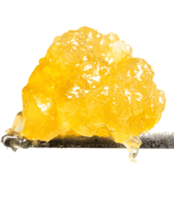 Amnesia Haze Marijuana Live Resin