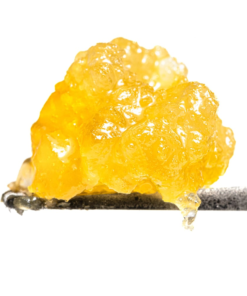 Amnesia Haze Marijuana Live Resin concentrate