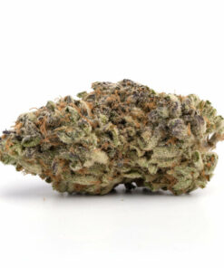 Amnesia Haze Weed Strain with vibrant green buds and citrus-earthy aroma