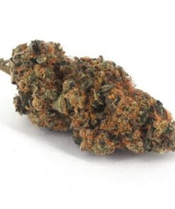 Animal Cookies Hybrid Buds - premium cannabis strain