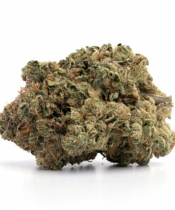 Astro Pink Weed Strain from Royal Queen Seeds