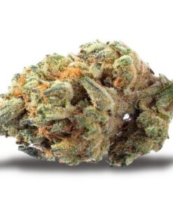 Berry White Hybrid Marijuana Buds