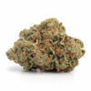 Biscotti Weed Strain - Indica-Dominant Hybrid Cannabis