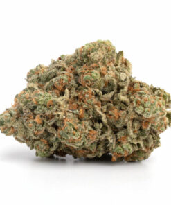 Biscotti Weed Strain - Indica-Dominant Hybrid Cannabis