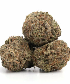 Black Diamond Cannabis Strain Hobart
