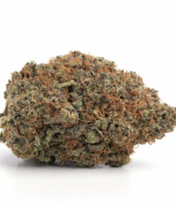 Black Widow Cannabis Strain Albury
