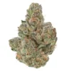 Blackberry Kush Marijuana Strain - Indica cannabis with sweet berry flavor