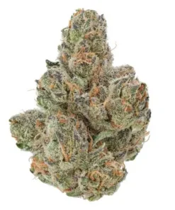 Blackberry Kush Marijuana Strain - Indica cannabis with sweet berry flavor