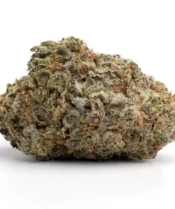 Blue Cheese Indica Weed Strain