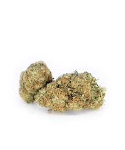 Blue Cheese Indica Weed Strain Canberra