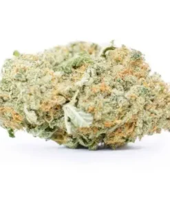 Blue Dream Hybrid Marijuana Strain