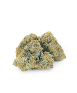 Blue Dream Sativa Weed Strain Geelong