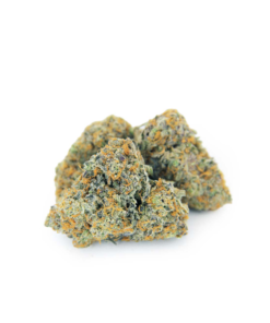 Blue Dream Sativa Weed Strain Geelong