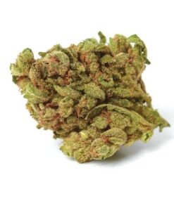 Blueberry Indica Weed Strain with vibrant purple and green buds