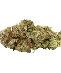 Bruce Banner Hybrid Marijuana Canberra