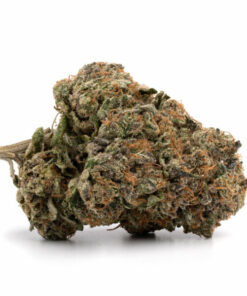 Bubba Cookies Marijuana Strain Canberra