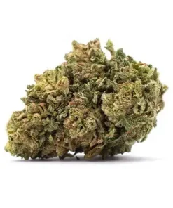 Bubble Gum Hybrid Weed strain with sweet bubble gum aroma