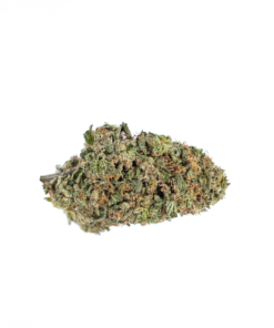 Bubblegum Kush Marijuana Strain Gold Coast