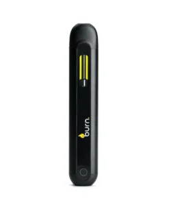 Burn Lifestyle Disposable Vape Pen - 2g