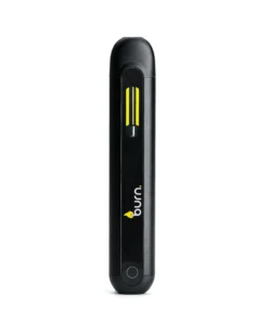 Burn Lifestyle Disposable Vape Pen - 2g