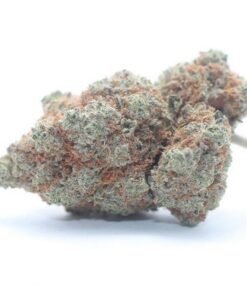 Candyland Sativa Marijuana Strain AU