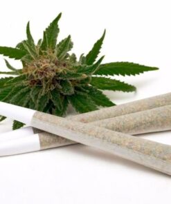 Cannabis Trainwreck (AAAA) Pre-rolled Joint