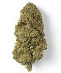 Cannatonic Cannabis Flower - hybrid strain with balanced effects