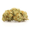 Cannatonic Hybrid Weed Strain