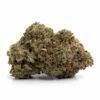 Comatose Marijuana Strain - Indica-dominant cannabis strain
