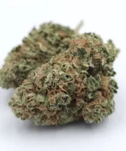 Cotton Candy Hybrid Weed Flower