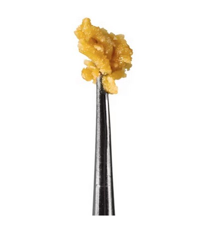 Cured Don Shula Budder 1g cannabis concentrate