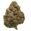 Durban Poison Marijuana Strain - Pure Sativa with Sweet and Earthy Flavor