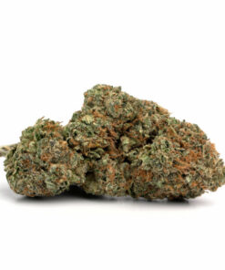 El Chapo Cannabis Strain Geelong