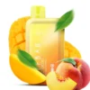 ELFBAR BC10000 Peach Mango Disposable Vape