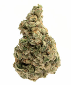 Florida Sunrise Weed Strain Albury