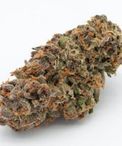 Forbidden Fruit Marijuana Buds For