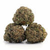 Garlic Breath Marijuna Strain